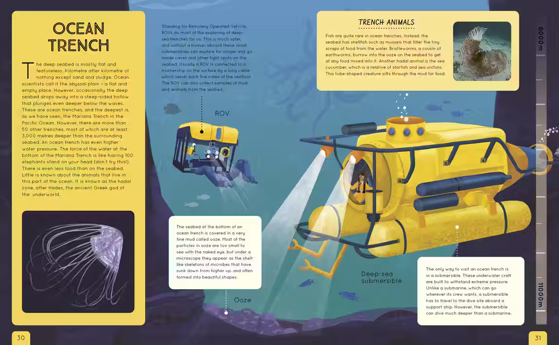 Ocean Atlas – non-fiction design by Victoria Vassiades, image 3 of 4