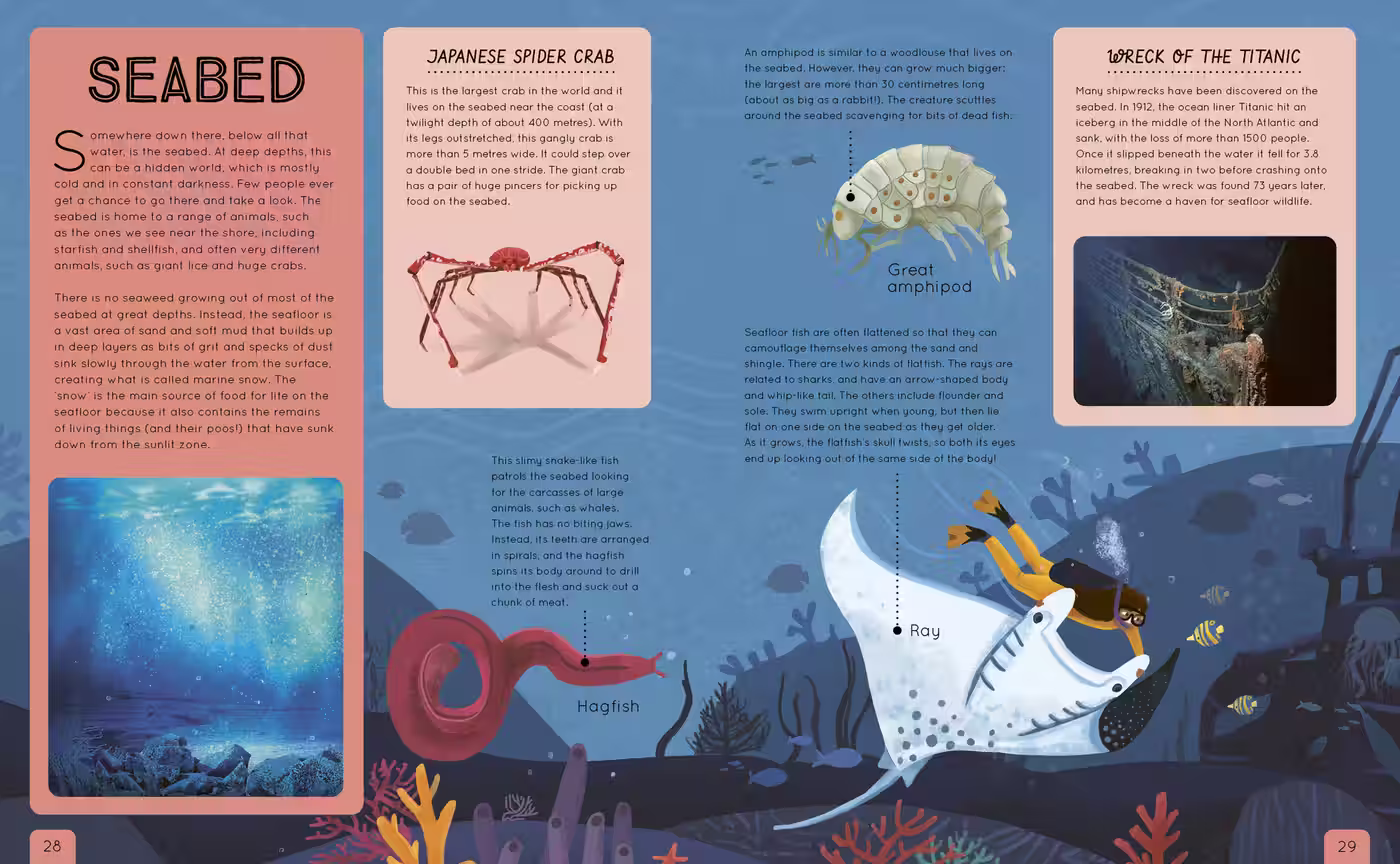 Ocean Atlas – non-fiction design by Victoria Vassiades, image 2 of 4