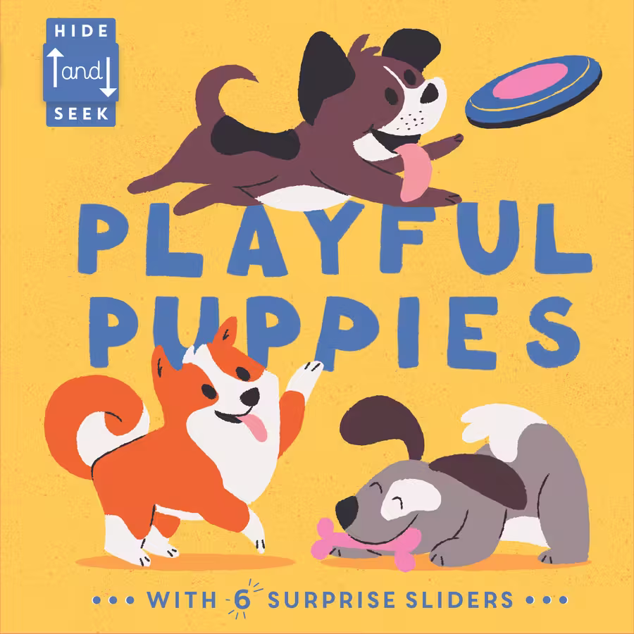 Hide and Seek – novelty book series cover design by Victoria Vassiades