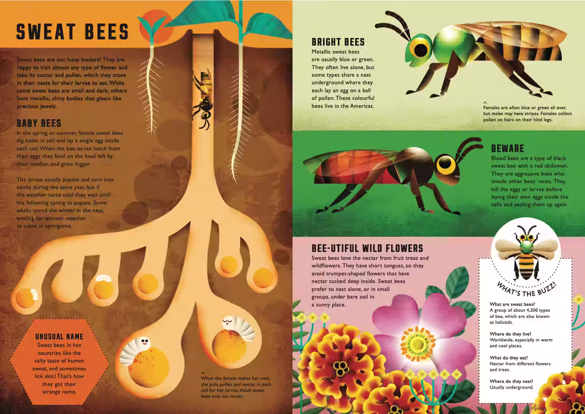 Wild Your World – novelty book series, 2 titles design by Victoria Vassiades, image 4 of 7
