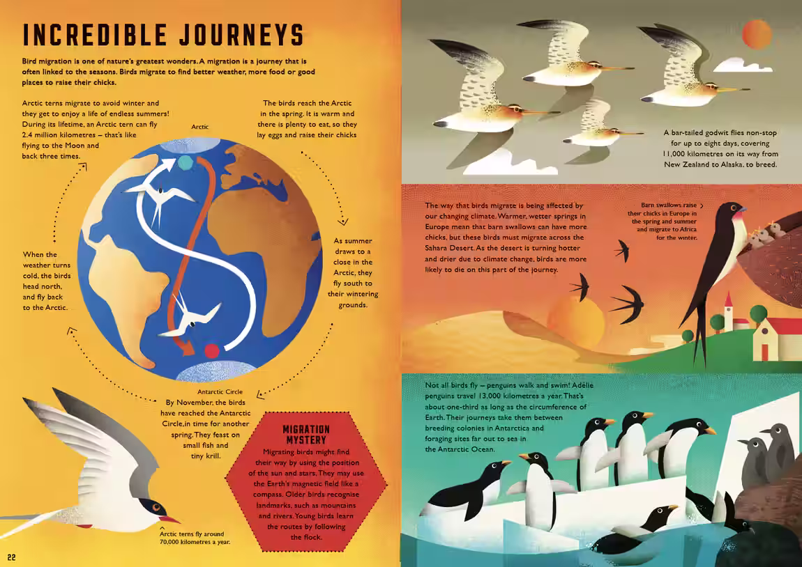 Wild Your World – novelty book series, 2 titles design by Victoria Vassiades, image 6 of 7