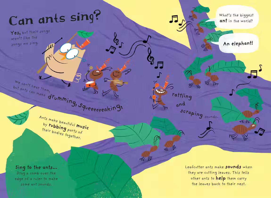 Little Know-It-Alls – non-fiction series design by Victoria Vassiades, image 5 of 8