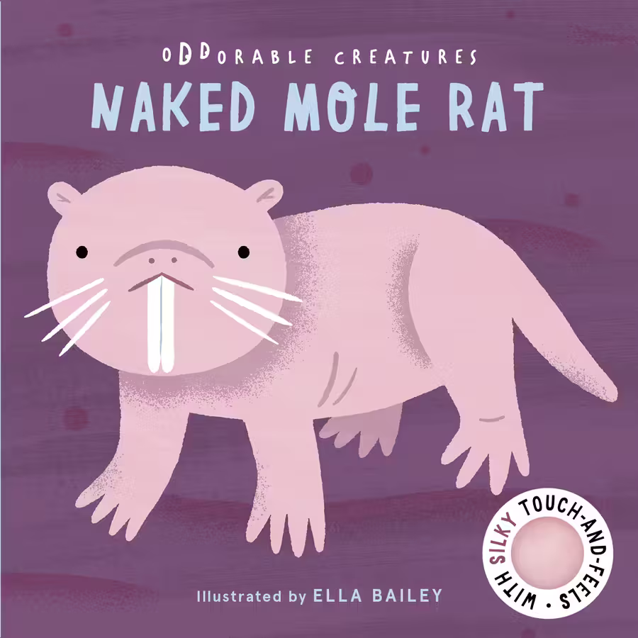 Oddorable Creatures – novelty book design by Victoria Vassiades, image 3 of 7