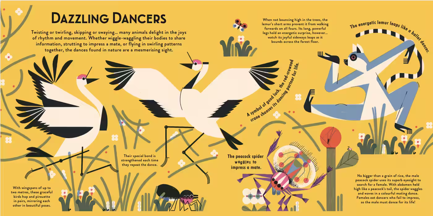 Wild Wonder – novelty book design by Victoria Vassiades, image 3 of 3