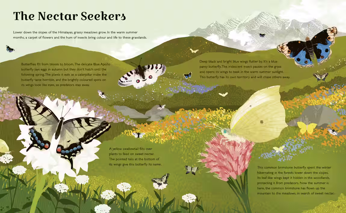 World of Wonder: Mountains – non-fiction design by Victoria Vassiades, image 2 of 3