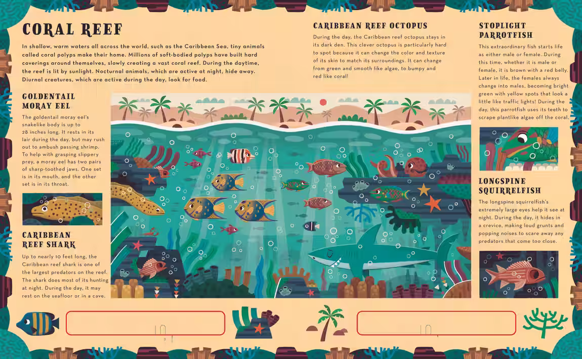Dig and Discover – novelty book series design by Victoria Vassiades, image 5 of 12