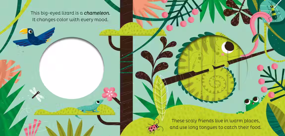 Animal Magic – novelty book series design by Victoria Vassiades, image 6 of 11